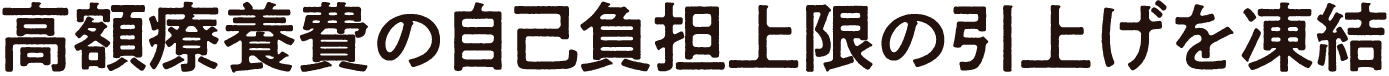 高額療養費の自己負担上限の引上げを凍結!