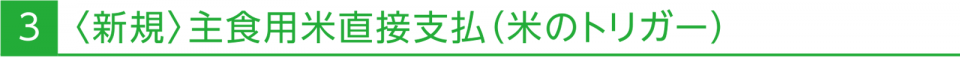 3 〈新規〉主食用米直接支払（米のトリガー）