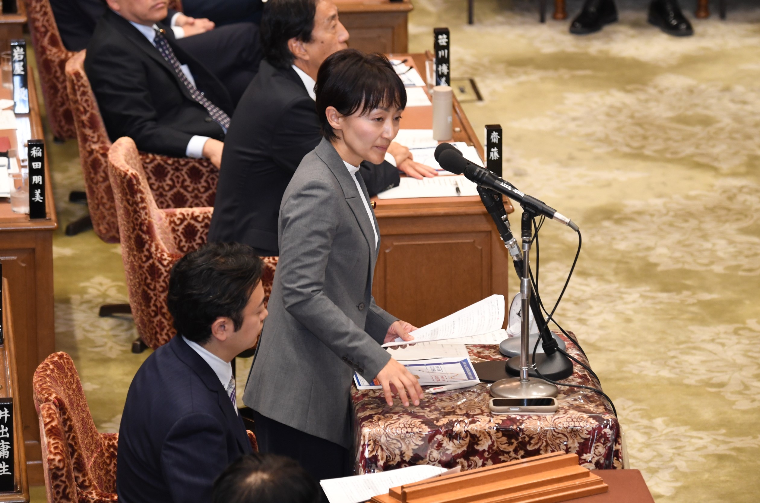 DSC_5612 20251110_131515ohtsuki.JPG