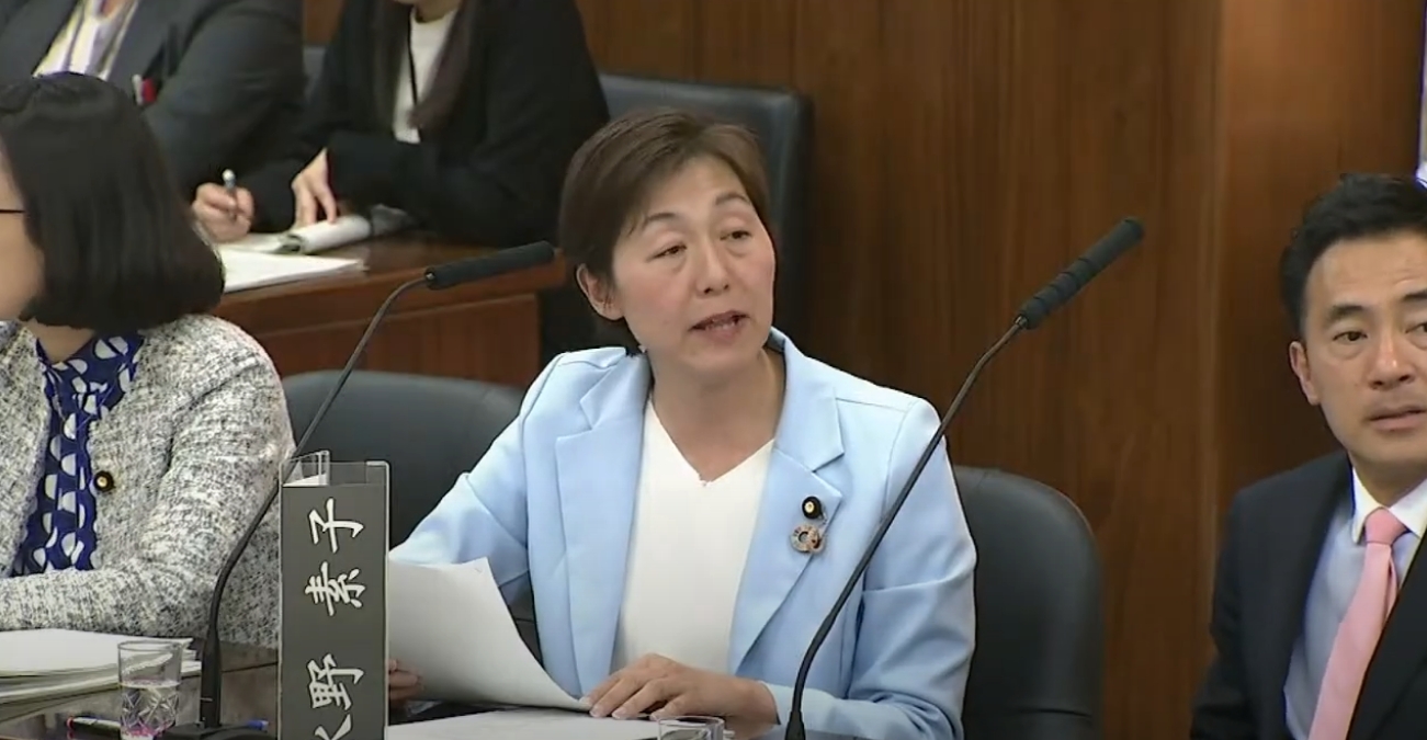 参院憲法審】小西、水野の両議員が、繰延べ投票や災害時の選挙支援体制