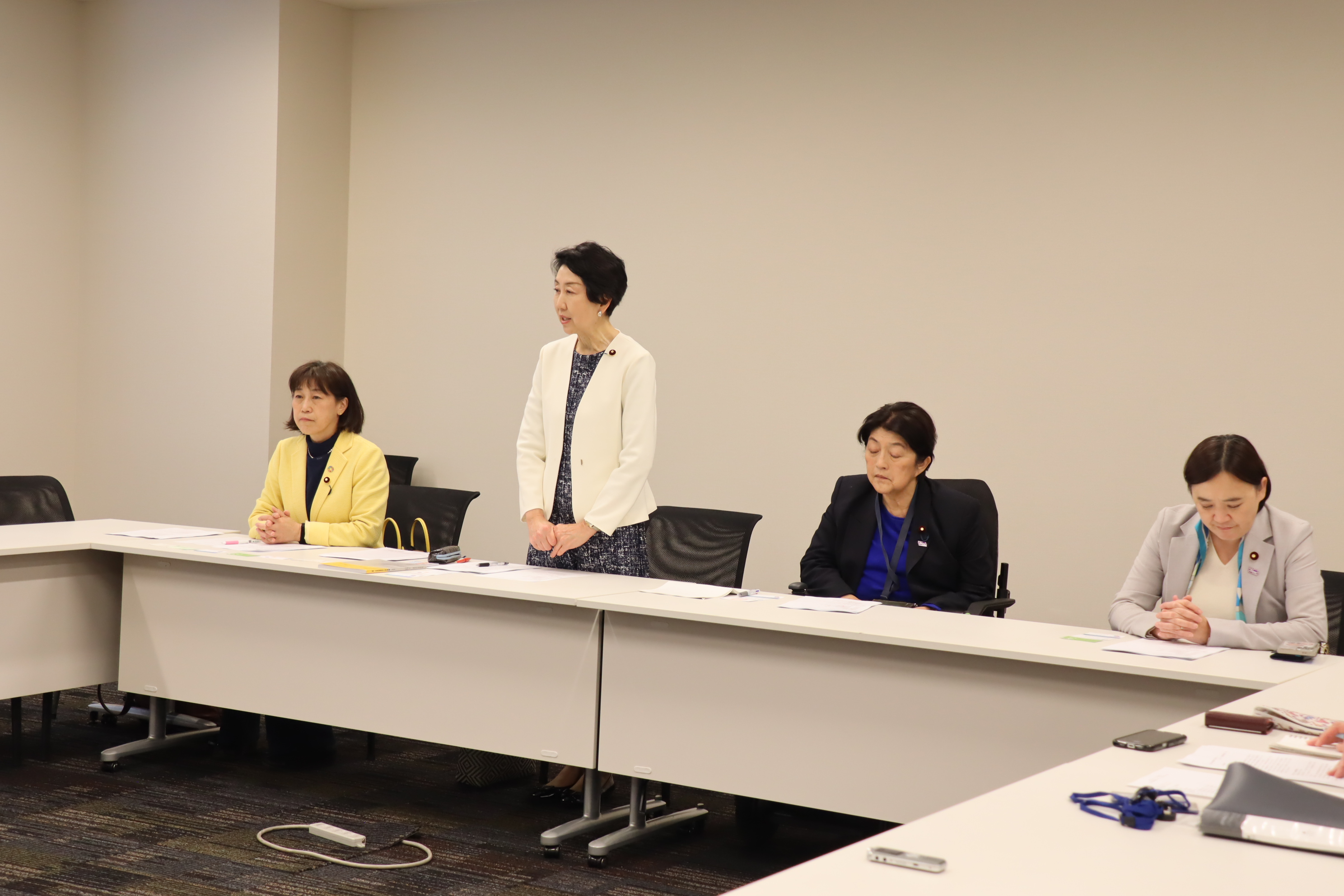 ジェンダー平等推進本部】女性差別撤廃条約実現アクションとの意見交換