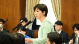 20260617参院デジタル特別委員会で石垣議員が質問