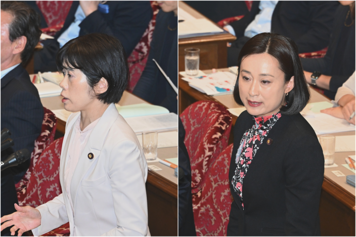 20260521参連合審査　打越さく良、田島麻衣子両議院