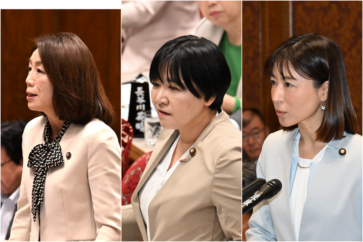 参院予算委】補正予算案に対し徳永政調会長、岸真紀子議員、塩村あやか