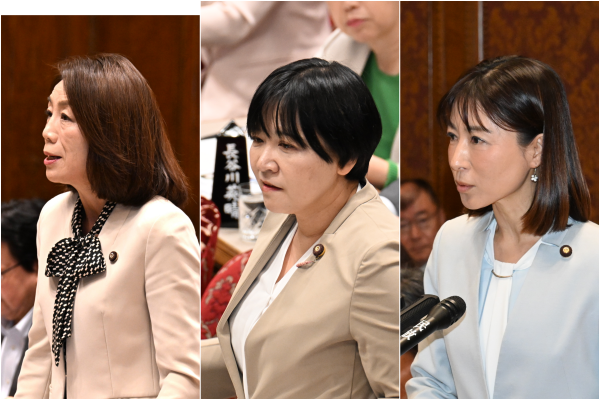 【参院予算委】補正予算案に対し徳永政調会長、岸真紀子議員、塩村あやか議員が質問