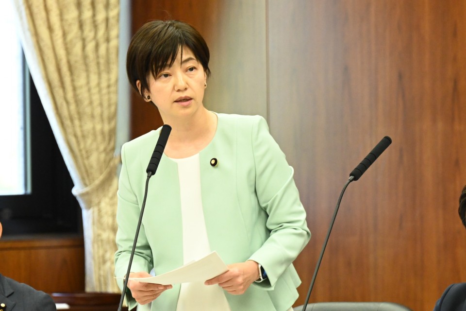 20260617参院デジタル特別委員会で石垣議員が質問