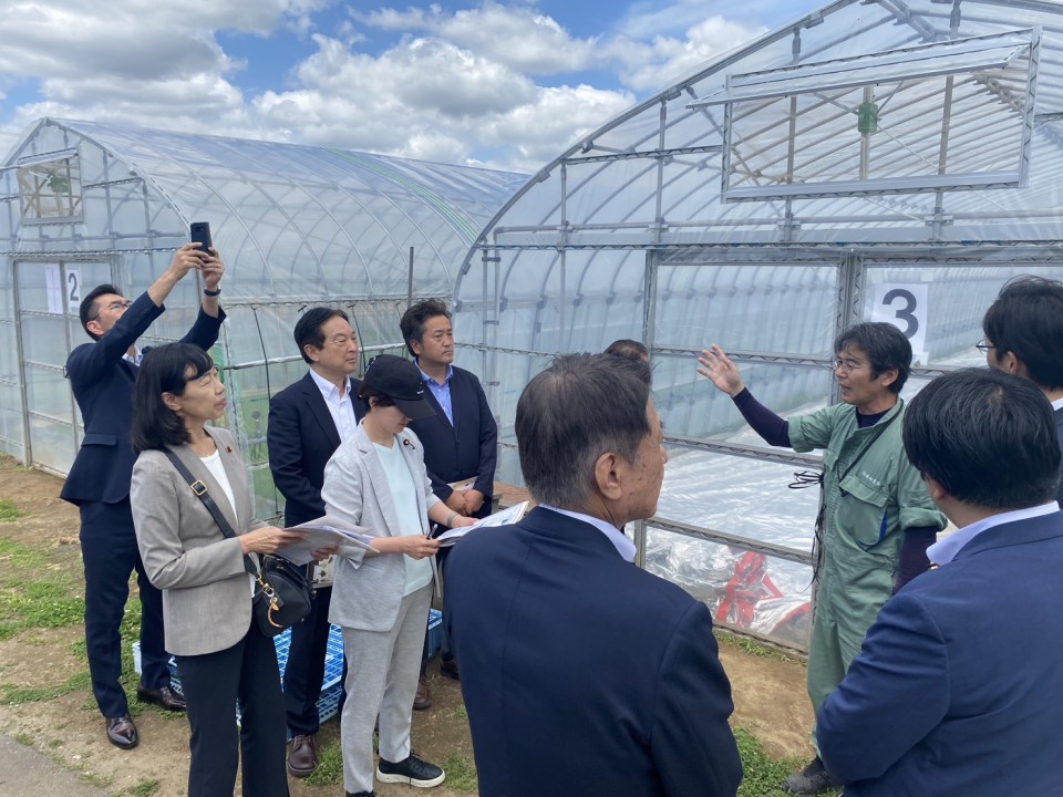 農場で説明を受ける石垣議員ら