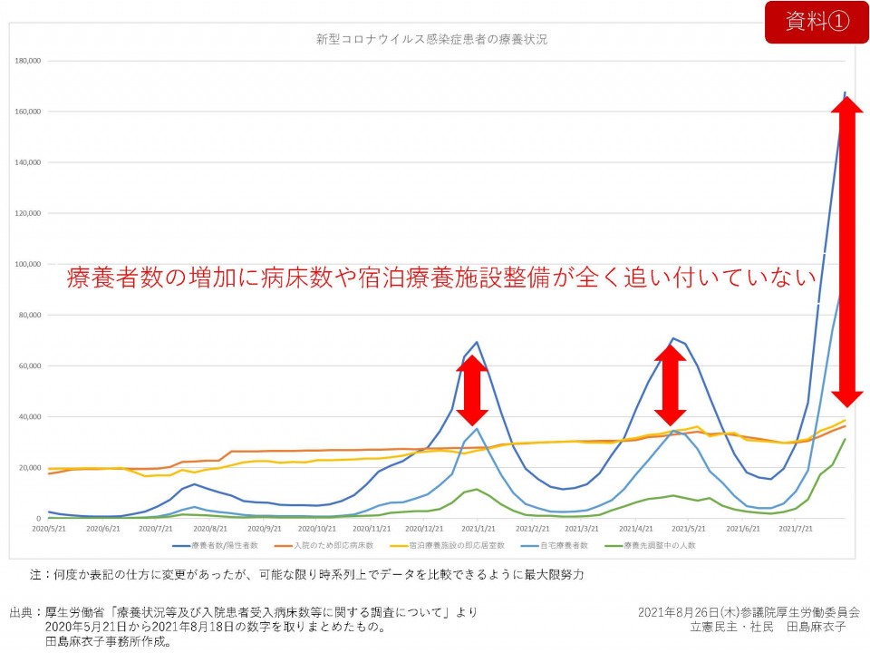 210826_参議院厚生労働委員会_配布資料_田島麻衣子事務所_ページ_1.jpg