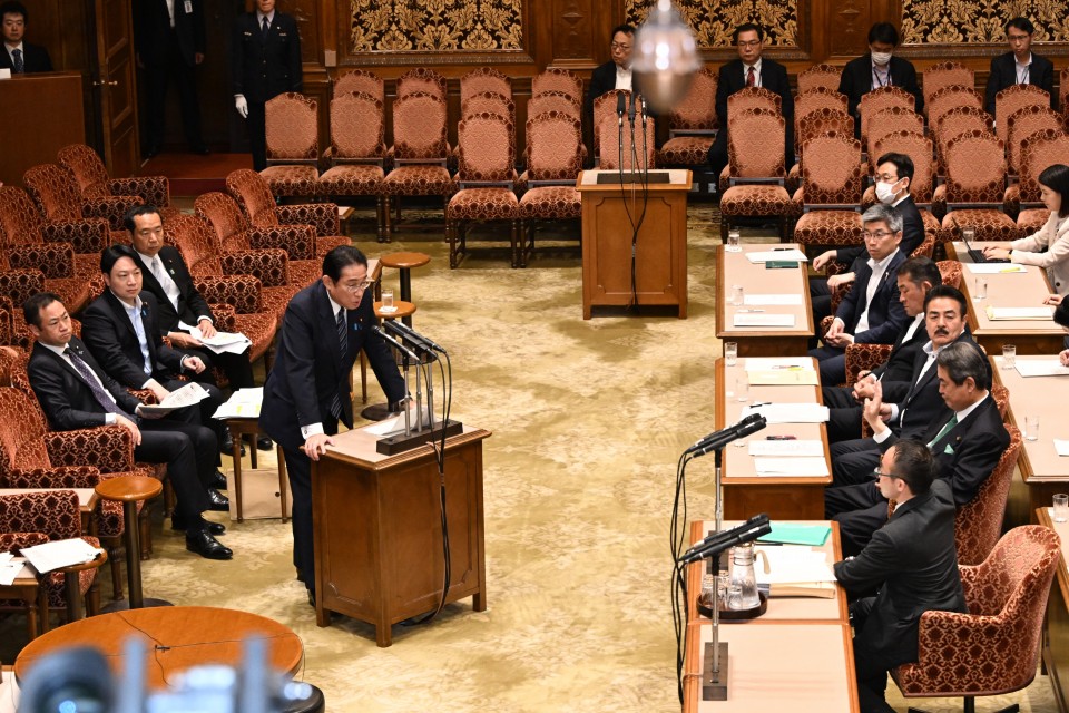 小沼巧　参院政治改革特別委員会　第213回通常国会