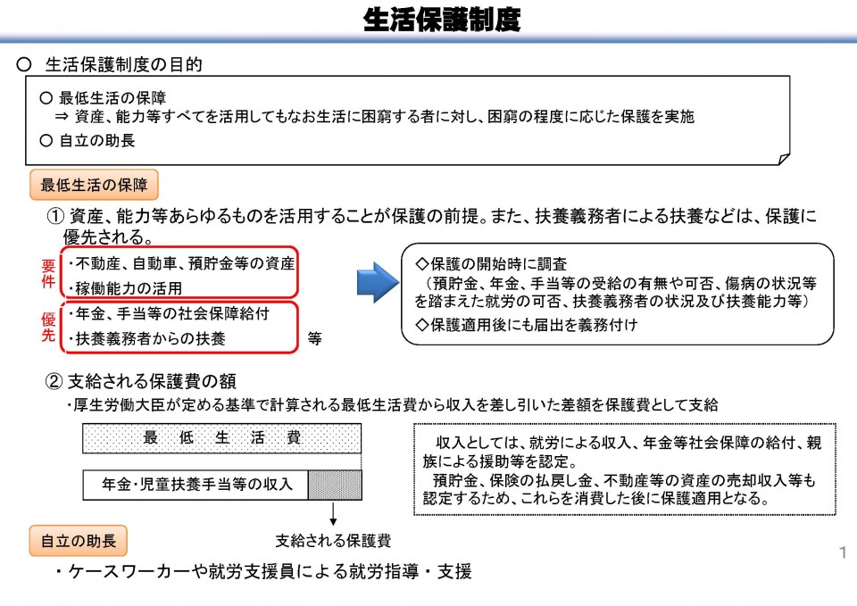 210216 生活保護関係資料（厚生労働省） 2.jpg