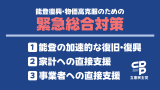 能登復興・物価高克服のための緊急総合対策