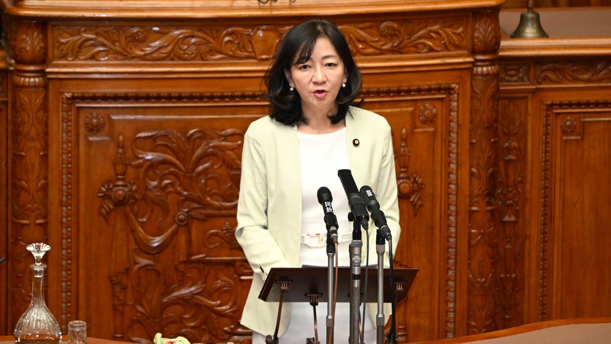 参院本会議】離婚後共同親権導入の民法改正案について牧山ひろえ参院