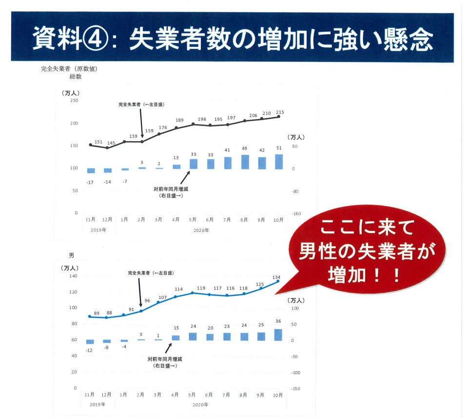 20201210_(石橋)厚労委員会配布資料-4.jpg