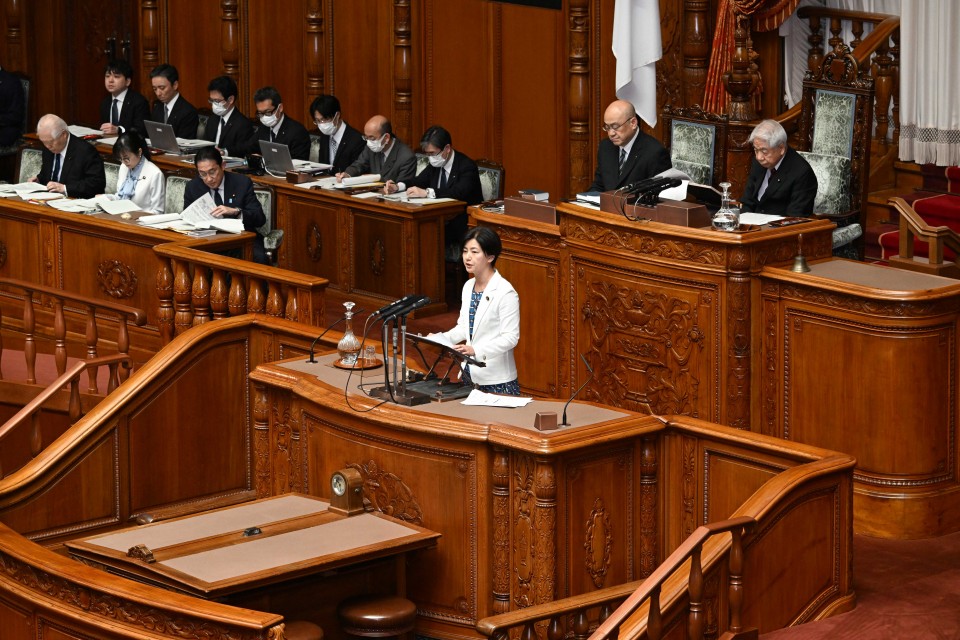 参院本会議　石垣のりこ　子ども・子育て支援法改正案