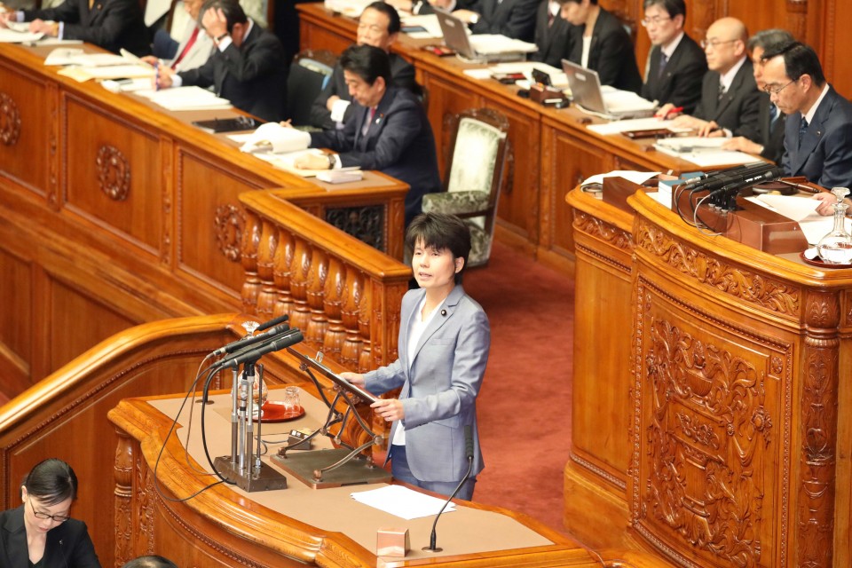 20181030参院本会議.jpg